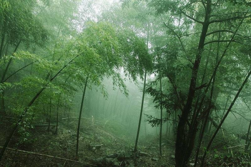 被生活击倒了怎么站起来的5个实用方法，第3个最有效