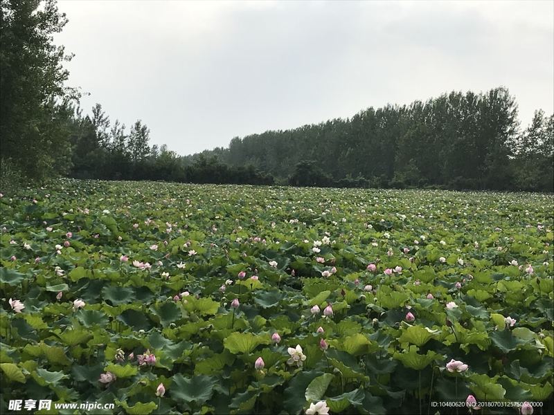 小孩子爱发脾气怎么教育的亲身经历：从崩溃到释然，我用了三个月