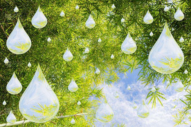 恐惧疗愈 | 备胎怎么翻身？心理专家一针见血的分析