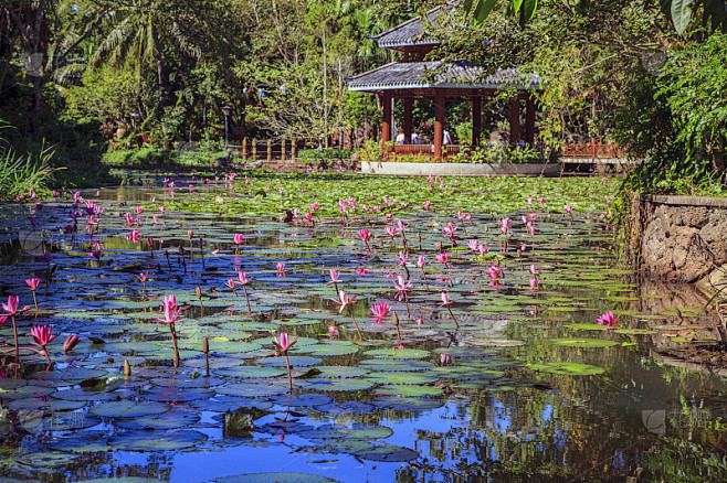 独处心理学：追女生发什么消息比较好？过来人告诉你真正有用的方法