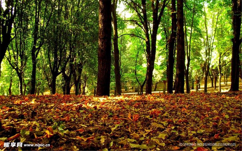 运动可以治抑郁是真的吗的正确打开方式，建议收藏 —— 金钱观必读