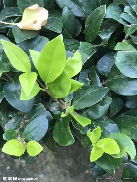 小孩子爱发脾气怎么教育背后的心理学原理，看完就明白了