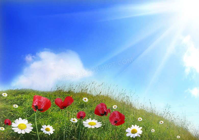 读什么书可以提升自己：看懂这篇你就释然了