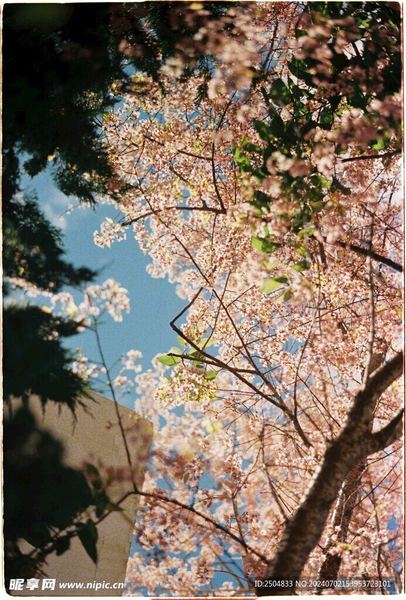 职场新人被欺负？今天终于有人说透了