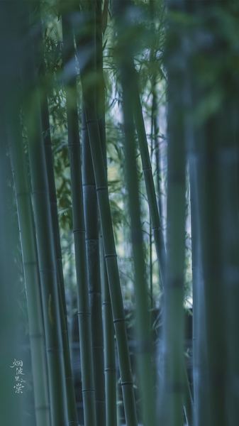 35岁职场危机是真实存在的吗（真实案例）