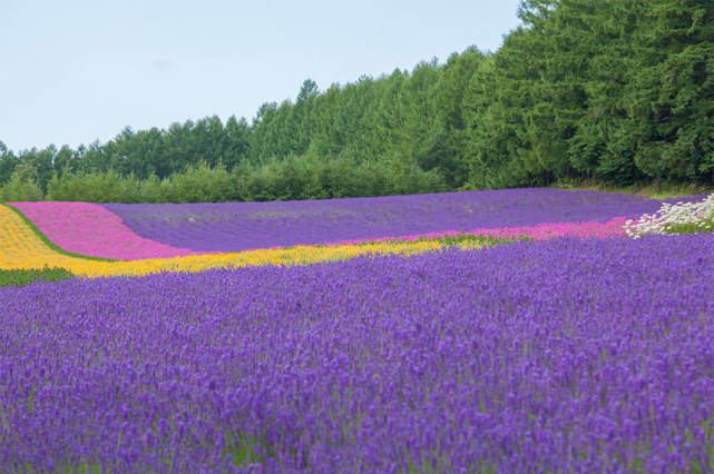 关于怎么控制自己的情绪，一个真实故事改变了我的看法 —— 内耗自救必读