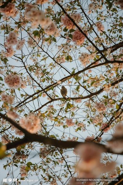 农村出来的孩子怎么改变命运？心理学家推荐的4步自救指南