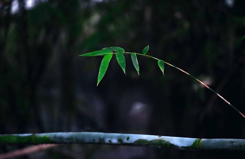 被生活击倒了怎么站起来：你需要知道的几个关键点