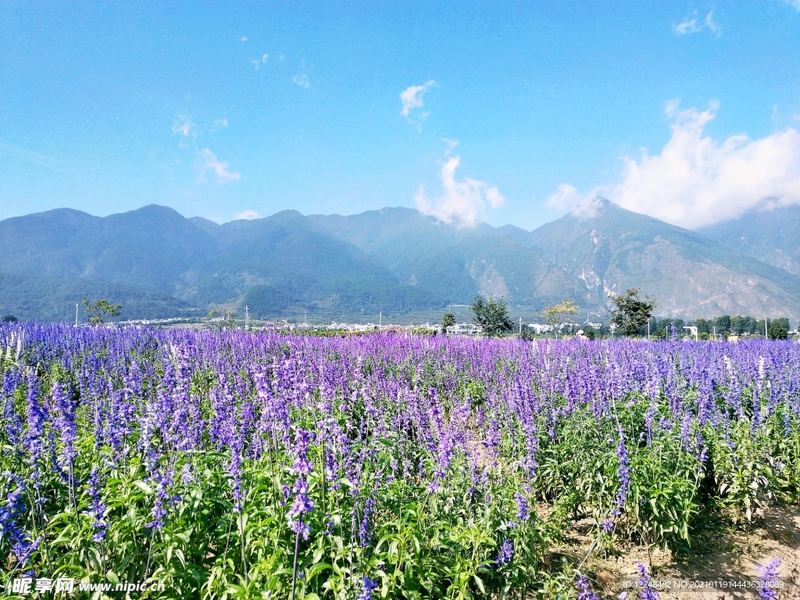 自卑怎么变自信：一个过来人的血泪教训