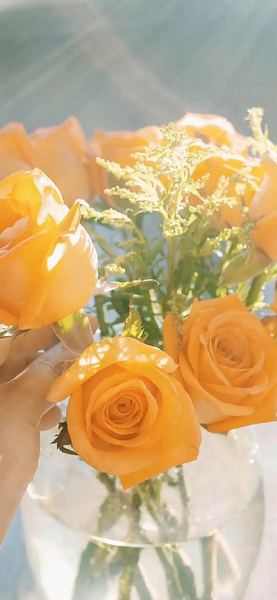 讨好型人格怎么改变全面解析：原因+方法+避坑指南