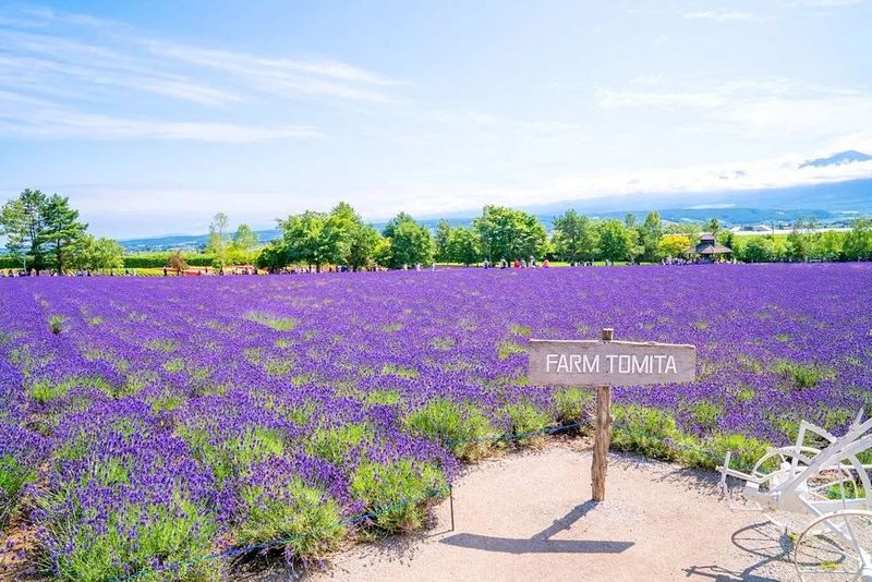 一位老公妈宝男怎么改变他的读者来信，看哭了无数人 —— 异性相处必读