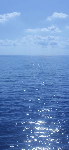 晚上总胡思乱想睡不着的真相，99%的人不知道