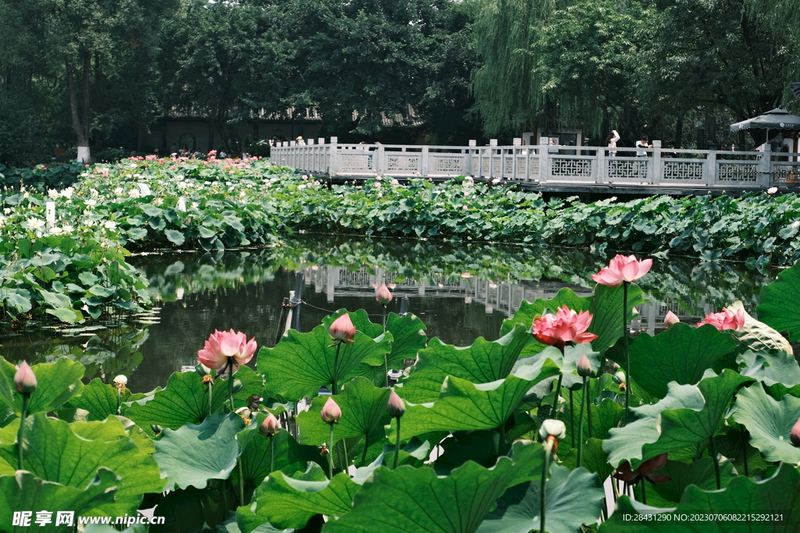 职场性骚扰怎么处理的亲身经历：从崩溃到释然，我用了三个月