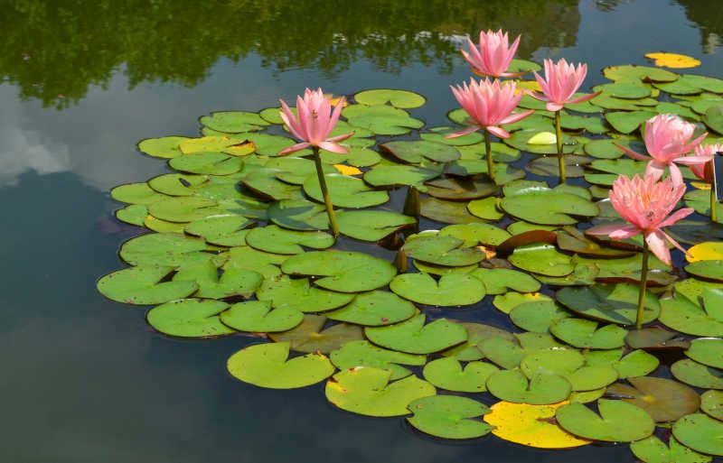 PTSD是什么意思？心理学角度帮你深度剖析