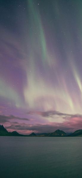 情感禁忌：老公不回家怎么处理的正确打开方式，建议收藏