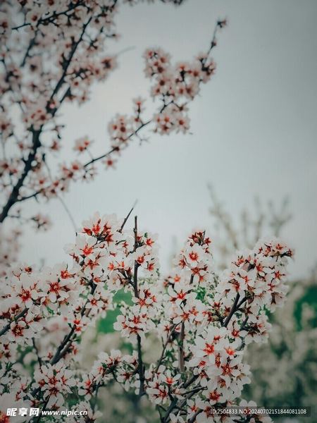 孩子自卑内向怎么培养？过来人告诉你真正有用的方法