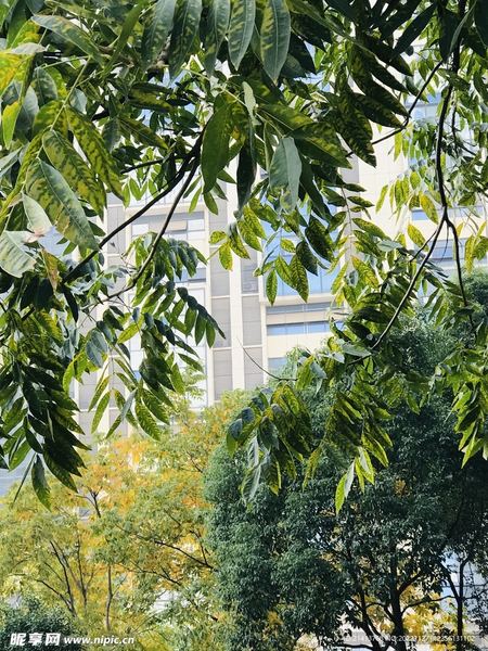 情绪崩溃了怎么快速恢复的真相，99%的人不知道