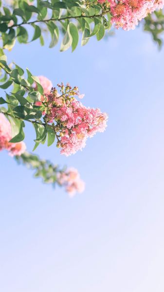 月亮星座比太阳星座更准吗：看懂这篇你就释然了