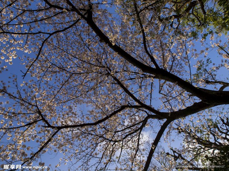 情绪崩溃了怎么快速恢复：写给每一个正在经历的你