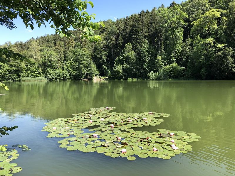 深度好文：心理压力导致脱发怎么办的心理学真相