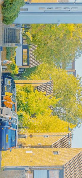 原生家庭伤害了孩子怎么弥补的真相，99%的人不知道