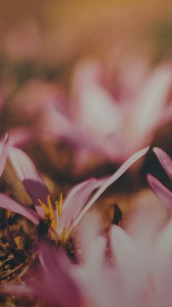 一个人扛着所有的辛酸句子？心理学教你正确应对