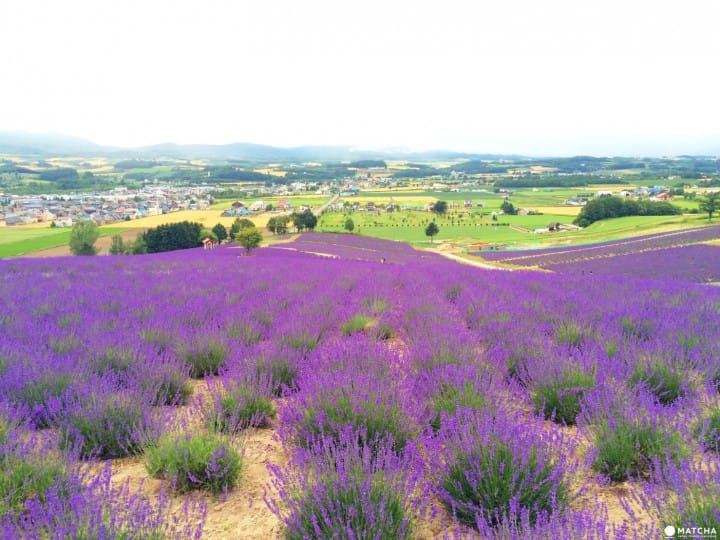 i人和e人什么意思MBTI？这篇文章帮你理清思路 —— 财富心态必读