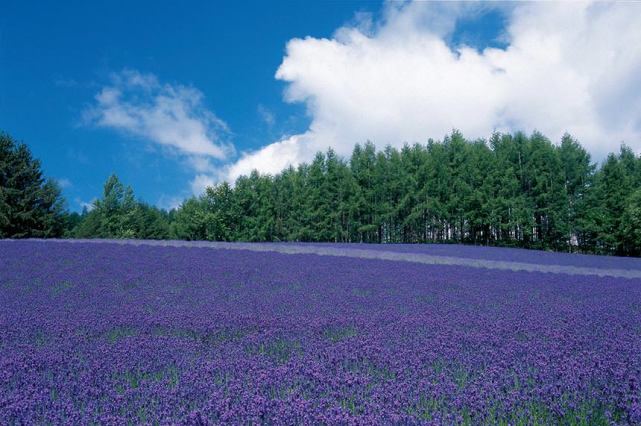 十二星座谁最容易出轨？今天终于有人说透了