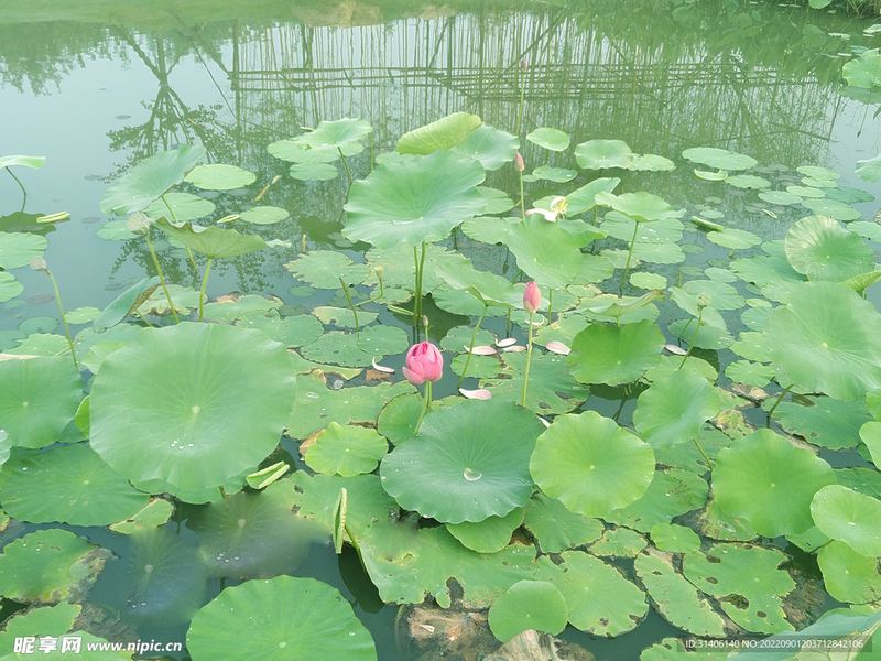 安眠指南 | 全职妈妈焦虑怎么缓解？心理专家一针见血的分析