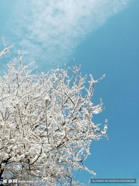 职场新人被欺负？看完这篇你会豁然开朗