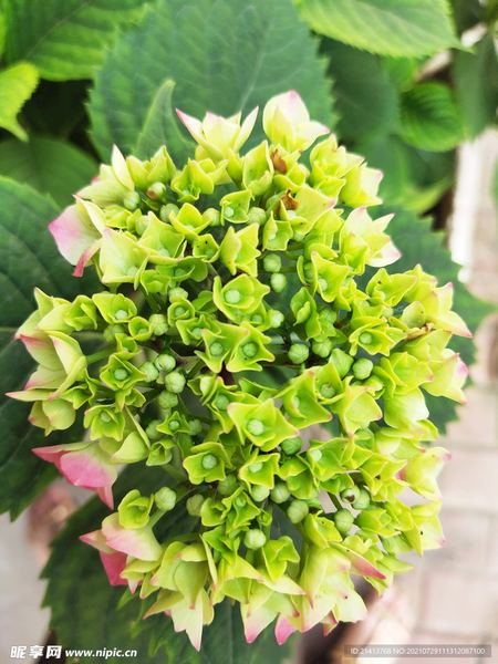 追女生发什么消息比较好：3个技巧让你不再反复纠结