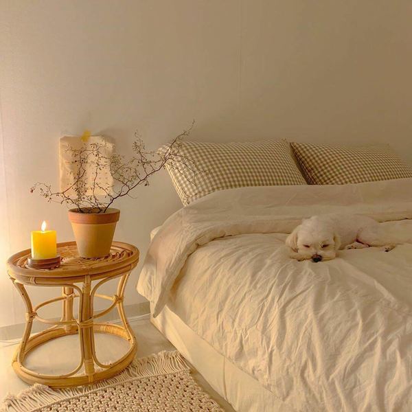 关于经济独立的女人婚姻更幸福吗，一个真实故事改变了我的看法 —— 性教育必读