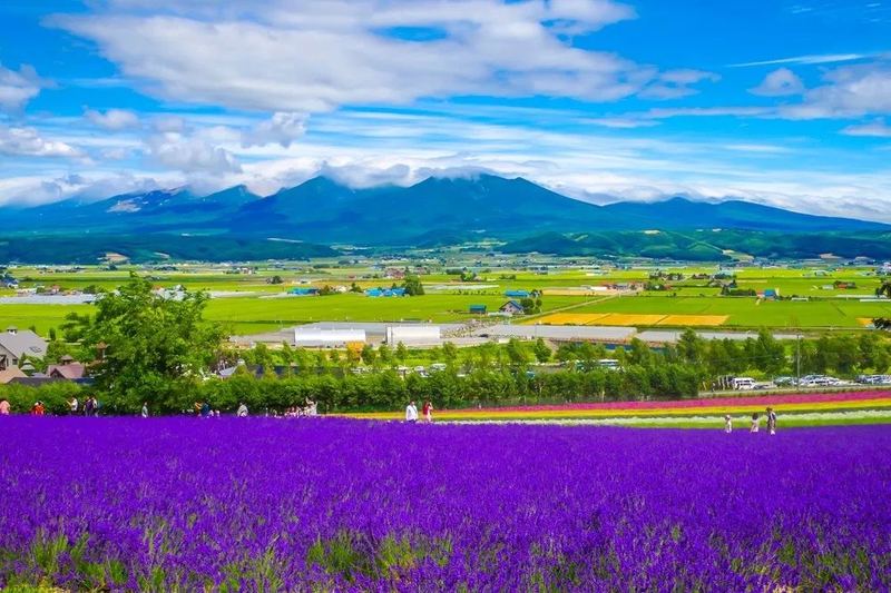 对象脾气大怎么相处？别急着下结论，先看完这篇