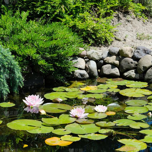 容貌焦虑怎么克服：3个技巧让你不再反复纠结