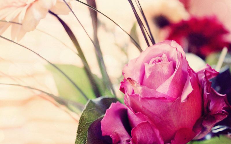 考公考研失败怎么调整心态的真相，99%的人不知道