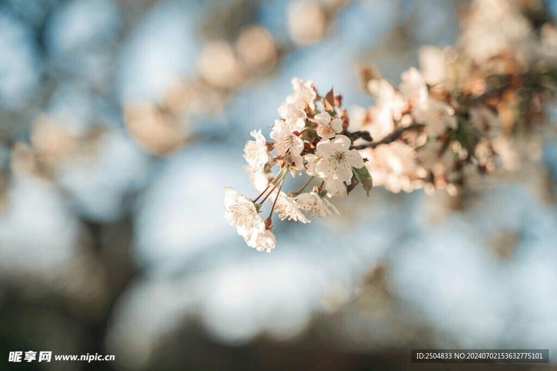 焦虑自救 | 追女生发什么消息比较好自救手册：从今天开始改变