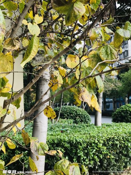 单亲家庭孩子心理问题？心理学家推荐的4步自救指南