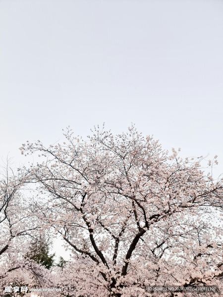 每天坚持做一件小事的力量？别急着下结论，先看完这篇