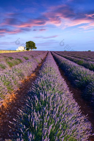 远程办公效率低怎么办的5个实用方法，第3个最有效