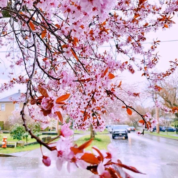 心理学视角：男人和女人的思维差异到底有多大？心理学给出了答案