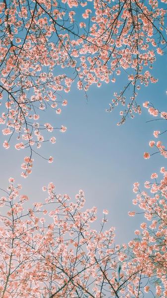 选择困难症怎么办的6个信号，中3个就该重视了