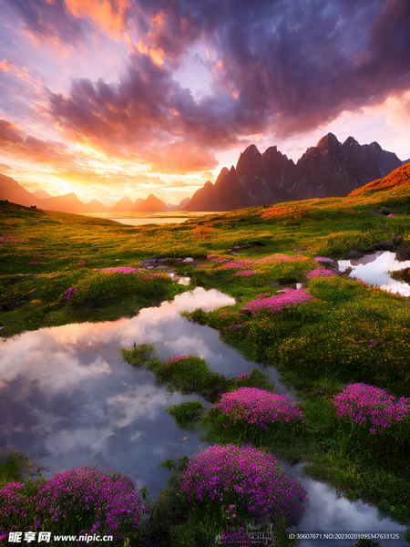 总觉得自己不够好怎么办？心理学家推荐的4步自救指南 —— 内耗自救必读