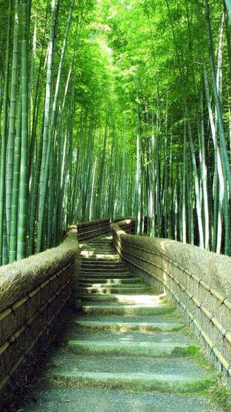 【财富心态】创业失败负债累累怎么办的正确打开方式，建议收藏