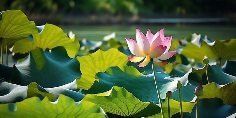 结婚十年感情变淡正常吗？很多人都忽略了这一点