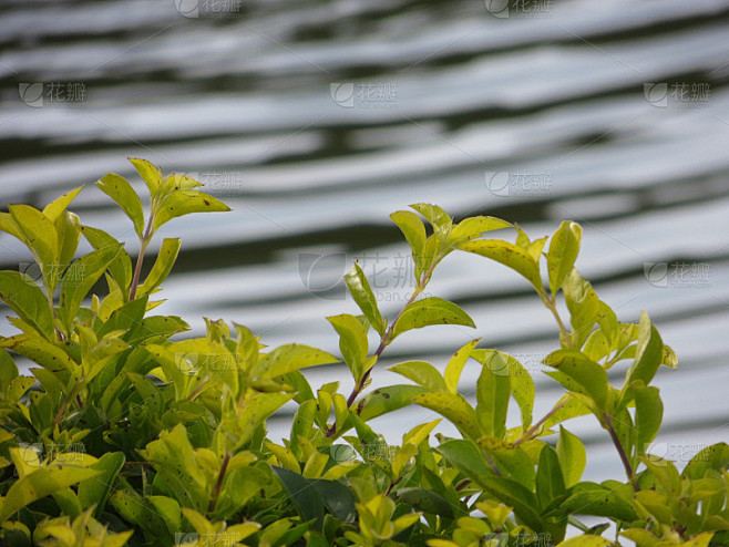 孩子叛逆期怎么沟通的亲身经历：从崩溃到释然，我用了三个月