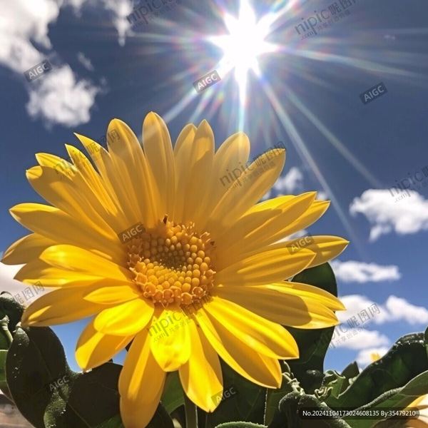 网恋靠谱吗自救手册：从今天开始改变