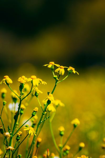 一位心理咨询有用吗要花多少钱的读者来信，看哭了无数人(恐惧应对)