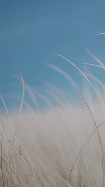 前任找你是想复合还是暧昧自救手册：从今天开始改变