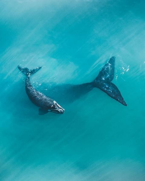 暗恋一个人怎么表白？认清这几点，你就不纠结了