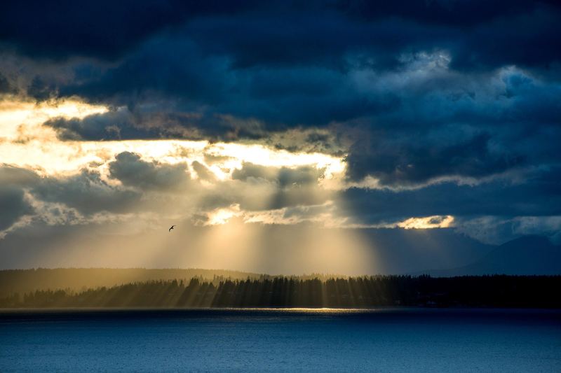 独处的人是什么性格？先搞清楚这3个问题再做决定